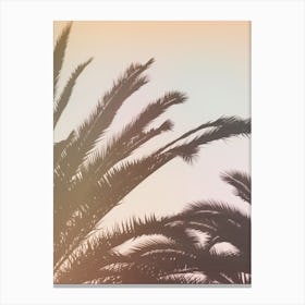 Golden Palms Canvas Print
