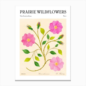 Prairie Wildflowers The Prairie Rose Canvas Print