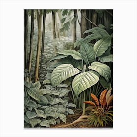 Vintage Jungle Botanical Illustration Alocasia 3 Canvas Print