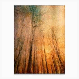 Autumn Inferno Canvas Print