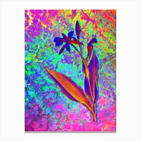 Bandana of the Everglades Botanical in Acid Neon Pink Green and Blue n.0127 Canvas Print