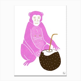 Pink Monkey With Coconut Canvas Print