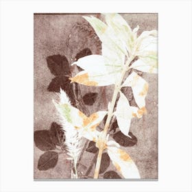 Botanical Leaves Brown White Canvas Print