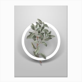 Vintage Evergreen Oak Minimalist Flower Geometric Circle on Soft Gray Canvas Print