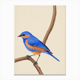 Eastern Bluebird Illustration Bird Canvas Print