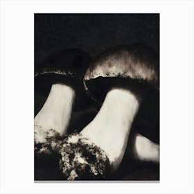 'Mushrooms' 2 Canvas Print