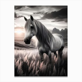 Creative Horse Beauty Illustration Nr 190 Canvas Print