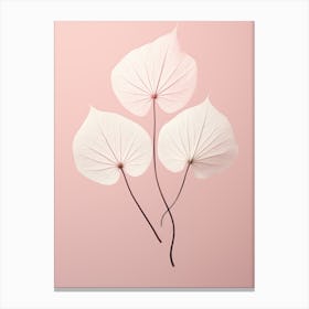 White Ginkgo Leaves Canvas Print