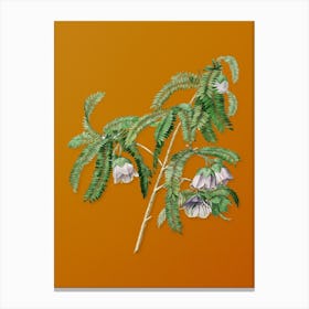 Vintage Spaendoncea Tamarandifolia Botanical on Sunset Orange n.0531 Canvas Print