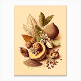 Nutmeg Spices And Herbs Retro Drawing 4 Canvas Print