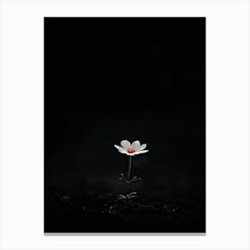 Single Flower In The Dark 52 Canvas Print