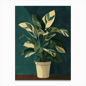 Potted Plant 12 Canvas Print