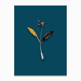 Vintage Erythronium Black and White Gold Leaf Floral Art on Teal Blue n.1049 Canvas Print