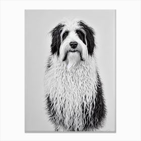 Bergamasco Sheepdog B&W Pencil dog Canvas Print