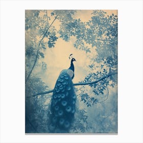 Peacock In A Tree Turquoise Cyanotype Inspired  3 Canvas Print