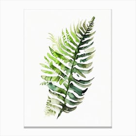 Forked Fern Watercolour Canvas Print