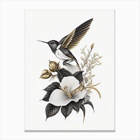 Berylline Hummingbird Vintage Gold & Black Canvas Print