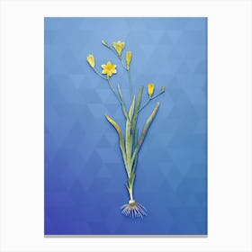 Vintage Ixia Bulbifera Botanical Art on Blue Perennial n.1400 Canvas Print