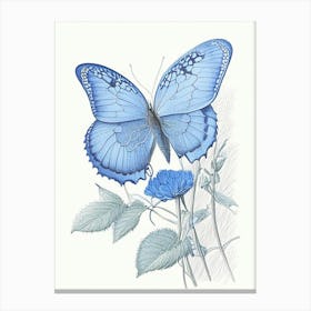 Common Blue Butterfly Andy Warhol Inspired 1 Canvas Print