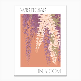 Wisterias In Bloom Flowers Bold Illustration 1 Canvas Print