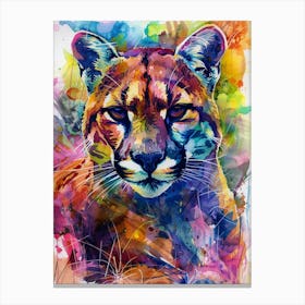 Cougar Colourful Watercolour 4 Canvas Print