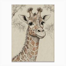 Giraffe 38 Canvas Print