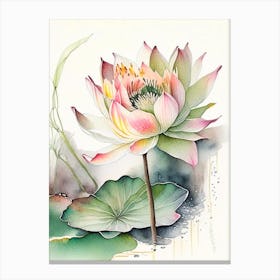 Lotus Flower In Garden Watercolour Ink Pencil 3 Canvas Print