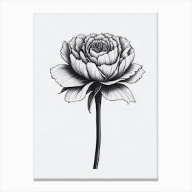 A Carnation In Black White Line Art Vertical Composition 39 Canvas Print