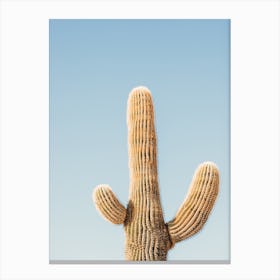 Classic Saguaro Cactus Canvas Print
