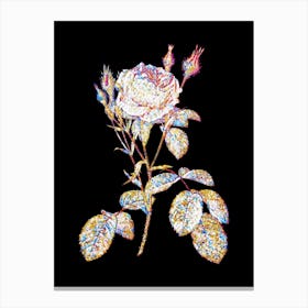 Stained Glass Double Moss Rose Mosaic Botanical Illustration on Black n.0286 Canvas Print