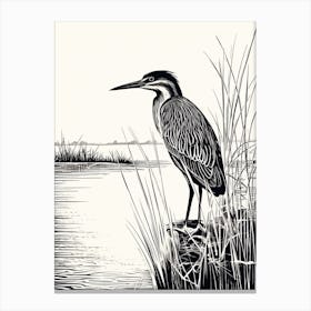 B&W Bird Linocut Green Heron 2 Canvas Print