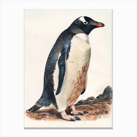 Adlie Penguin Laurie Island Vintage Botanical Painting 3 Canvas Print