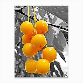 Yellow Cherries Canvas Print