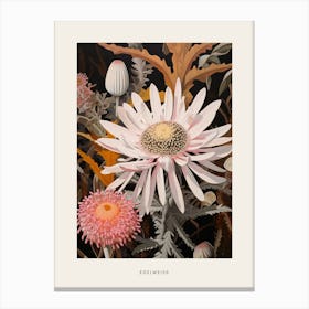 Flower Illustration Edelweiss 1 Poster Canvas Print