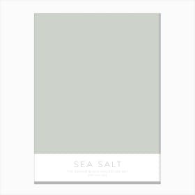 Colour Block Collection - Sea Salt Canvas Print