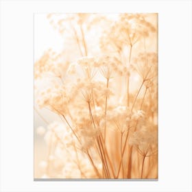 Boho Dried Flowers Babys Breath 1 Canvas Print