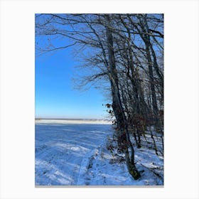 Snowy Field 1 Canvas Print