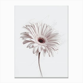 Gerbera Daisy 1 Canvas Print