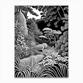Chanticleer Garden, Usa Linocut Black And White Vintage Canvas Print