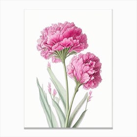 Carnation Floral Quentin Blake Inspired Illustration 3 Flower Canvas Print