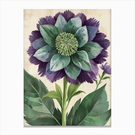 Purple Clematis Canvas Print