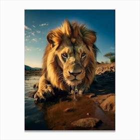 African Lion Drinking Water Realism 4 Canvas Print