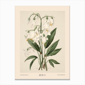 Yukiyanagi Snowdrop 2 Vintage Japanese Botanical Poster Canvas Print
