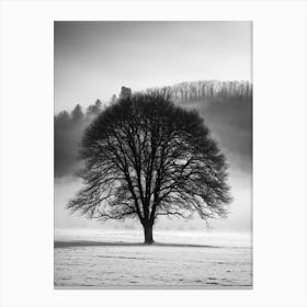 Lone Tree Canvas Print