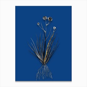 Vintage Blue CornLily Black and White Gold Leaf Floral Art on Midnight Blue n.0005 Canvas Print