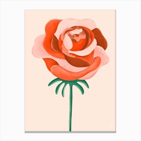 Anatomy Of A Rose Canvas Print