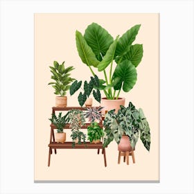 Indoor Plants 3 Canvas Print