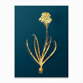 Vintage Arabian Starflower Botanical in Gold on Teal Blue n.0354 Canvas Print