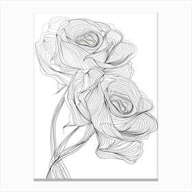 Roses Sketch 5 Canvas Print