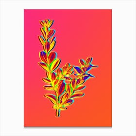 Neon Buxus Colchica Bush Botanical in Hot Pink and Electric Blue n.0067 Canvas Print